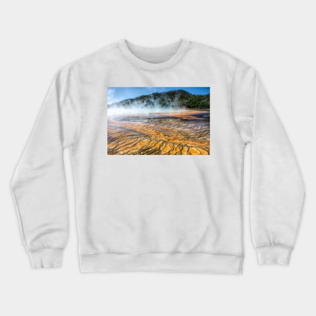 Miniature Forests on the Edge of Grand Prismatic Spring in Yellowstone National Park Crewneck Sweatshirt by Debra Martz